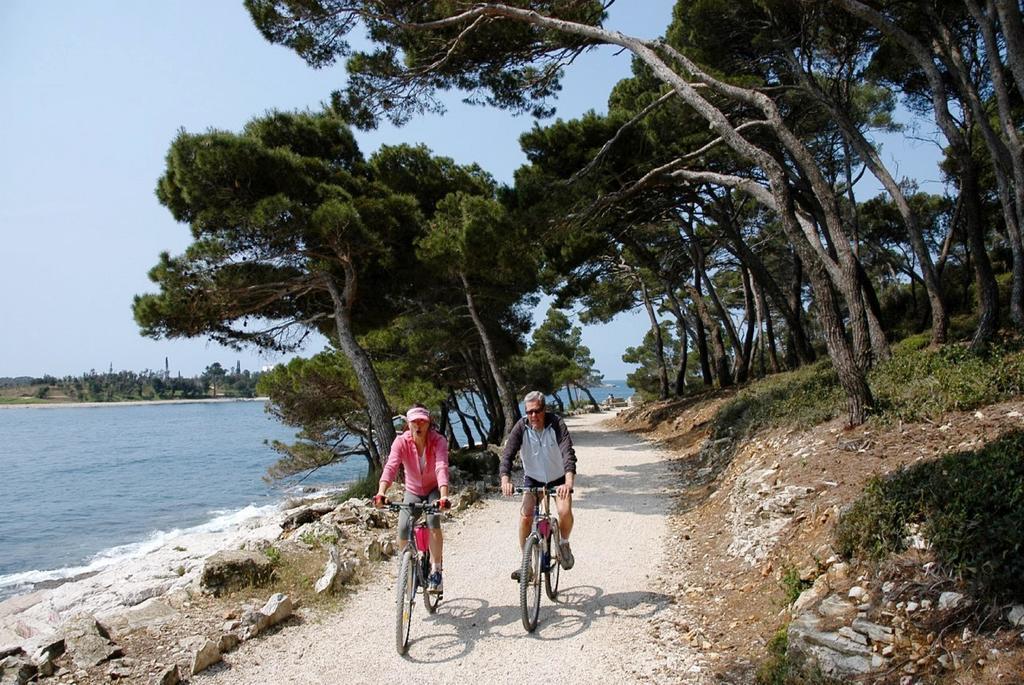 Apartment Venus 5 Rovinj