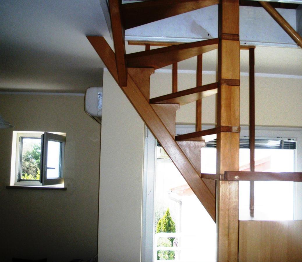 Apartma Venus 5