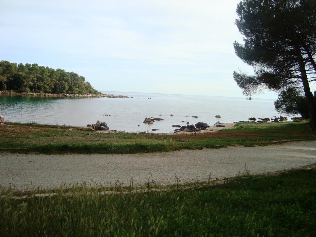 Apartma Venus 5